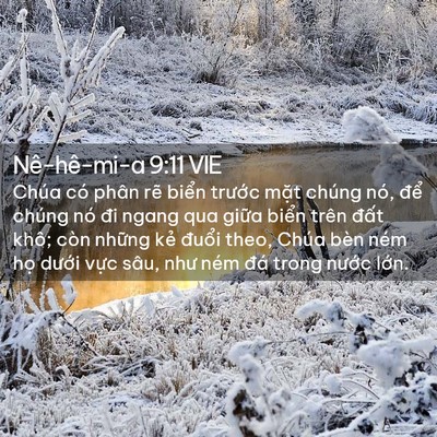 Picture 02 - Nê-hê-mi-a 9:11 VIE - Chúa có phân rẽ biển trước mặt chúng - Bible Verse Picture