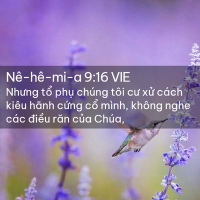 Picture 02 - Nê-hê-mi-a 9:16 VIE - Nhưng tổ phụ chúng tôi cư xử cách - Bible Verse Picture