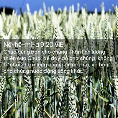 Picture 02 - Nê-hê-mi-a 9:20 VIE - Chúa cũng ban cho chúng Thần linh lương - Bible Verse Picture