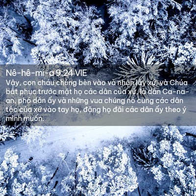 Picture 02 - Nê-hê-mi-a 9:24 VIE - Vậy, con cháu chúng bèn vào và nhận - Bible Verse Picture