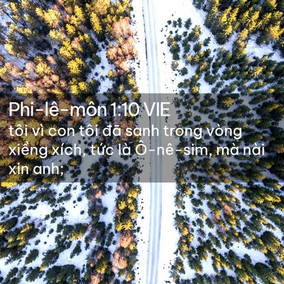 Picture 02 - Phi-lê-môn 1:10 VIE - tôi vì con tôi đã sanh trong vòng xiềng - Bible Verse Picture