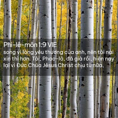 Picture 02 - Phi-lê-môn 1:9 VIE - song vì lòng yêu thương của anh, nên tôi - Bible Verse Picture
