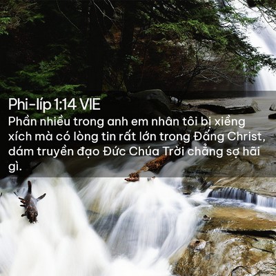 Picture 02 - Phi-líp 1:14 VIE - Phần nhiều trong anh em nhân tôi bị - Bible Verse Picture