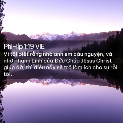 Picture 02 - Phi-líp 1:19 VIE - Vì tôi biết rằng nhờ anh em cầu - Bible Verse Picture