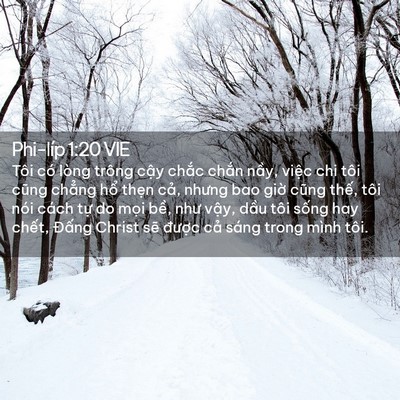 Picture 02 - Phi-líp 1:20 VIE - Tôi có lòng trông cậy chắc chắn nầy, - Bible Verse Picture