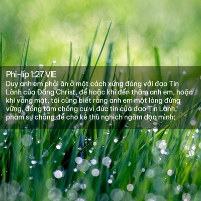 Picture 02 - Phi-líp 1:27 VIE - Duy anh em phải ăn ở một cách xứng - Bible Verse Picture