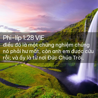Picture 02 - Phi-líp 1:28 VIE - điều đó là một chứng nghiệm chúng - Bible Verse Picture