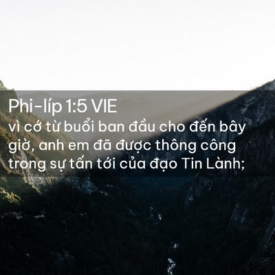 Picture 02 - Phi-líp 1:5 VIE - vì cớ từ buổi ban đầu cho đến bây - Bible Verse Picture