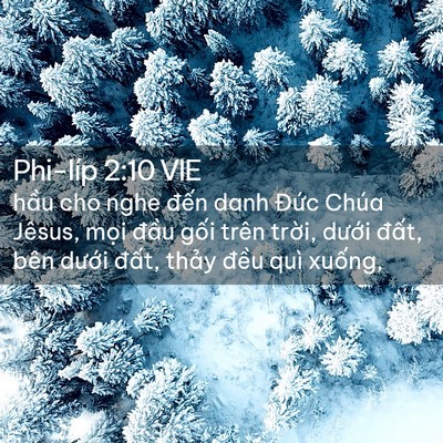 Picture 02 - Phi-líp 2:10 VIE - hầu cho nghe đến danh Đức Chúa Jêsus, - Bible Verse Picture