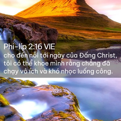 Picture 02 - Phi-líp 2:16 VIE - cho đến nỗi tới ngày của Đấng - Bible Verse Picture