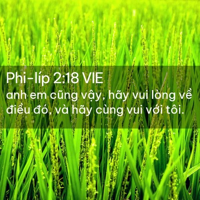 Picture 02 - Phi-líp 2:18 VIE - anh em cũng vậy, hãy vui lòng về điều - Bible Verse Picture