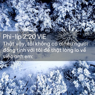 Picture 02 - Phi-líp 2:20 VIE - Thật vậy, tôi không có ai như người - Bible Verse Picture