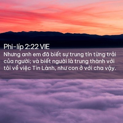 Picture 02 - Phi-líp 2:22 VIE - Nhưng anh em đã biết sự trung tín từng - Bible Verse Picture