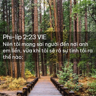 Picture 02 - Phi-líp 2:23 VIE - Nên tôi mong sai người đến nơi anh em - Bible Verse Picture