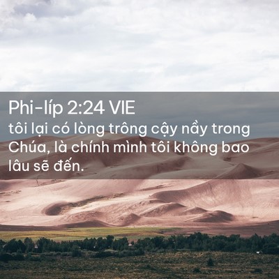 Picture 02 - Phi-líp 2:24 VIE - tôi lại có lòng trông cậy nầy trong - Bible Verse Picture
