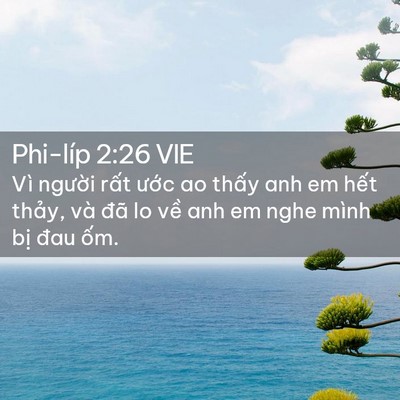 Picture 02 - Phi-líp 2:26 VIE - Vì người rất ước ao thấy anh em hết - Bible Verse Picture