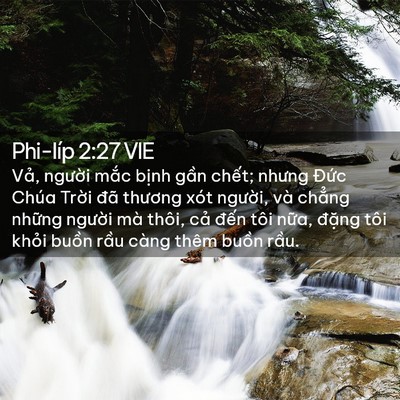 Picture 02 - Phi-líp 2:27 VIE - Vả, người mắc bịnh gần chết; nhưng - Bible Verse Picture
