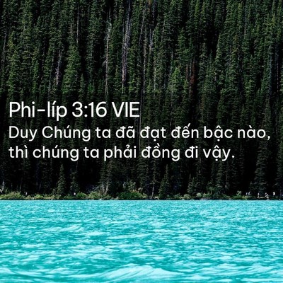 Picture 02 - Phi-líp 3:16 VIE - Duy Chúng ta đã đạt đến bậc nào, thì - Bible Verse Picture