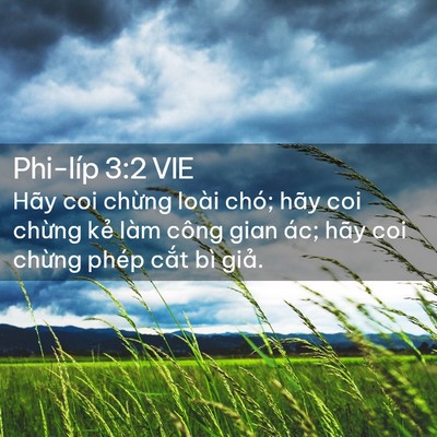Picture 02 - Phi-líp 3:2 VIE - Hãy coi chừng loài chó; hãy coi chừng - Bible Verse Picture