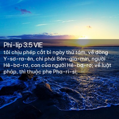 Picture 02 - Phi-líp 3:5 VIE - tôi chịu phép cắt bì ngày thứ tám, - Bible Verse Picture