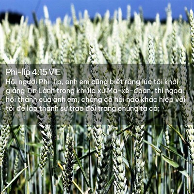 Picture 02 - Phi-líp 4:15 VIE - Hỡi người Phi-líp, anh em cũng biết - Bible Verse Picture