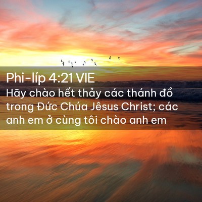 Picture 02 - Phi-líp 4:21 VIE - Hãy chào hết thảy các thánh đồ trong - Bible Verse Picture