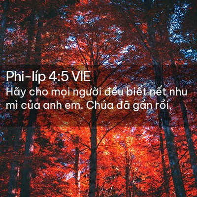 Picture 02 - Phi-líp 4:5 VIE - Hãy cho mọi người đều biết nết nhu - Bible Verse Picture