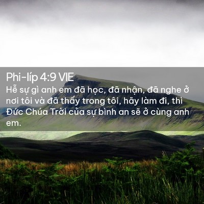 Picture 02 - Phi-líp 4:9 VIE - Hễ sự gì anh em đã học, đã nhận, - Bible Verse Picture