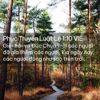 Picture 02 - Phục Truyền Luật Lệ 1:10 VIE - Giê-hô-va Đức Chúa Trời các ngươi đã - Bible Verse Picture