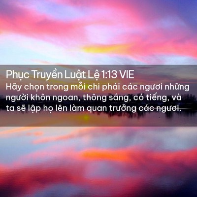 Picture 02 - Phục Truyền Luật Lệ 1:13 VIE - Hãy chọn trong mỗi chi phái các ngươi - Bible Verse Picture