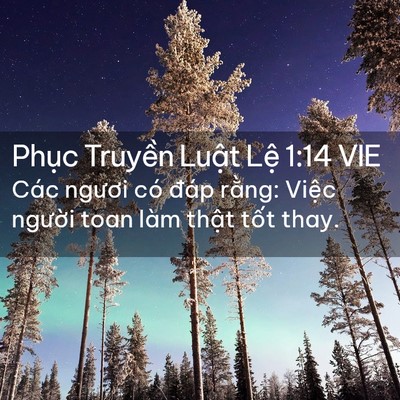 Picture 02 - Phục Truyền Luật Lệ 1:14 VIE - Các ngươi có đáp rằng: Việc người - Bible Verse Picture