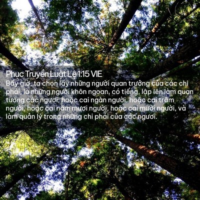 Picture 02 - Phục Truyền Luật Lệ 1:15 VIE - Bấy giờ, ta chọn lấy những người - Bible Verse Picture