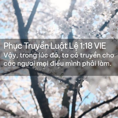 Picture 02 - Phục Truyền Luật Lệ 1:18 VIE - Vậy, trong lúc đó, ta có truyền cho các - Bible Verse Picture