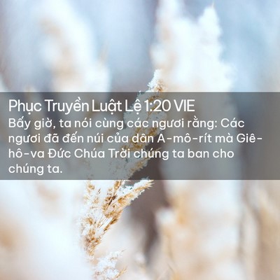 Picture 02 - Phục Truyền Luật Lệ 1:20 VIE - Bấy giờ, ta nói cùng các ngươi rằng: - Bible Verse Picture