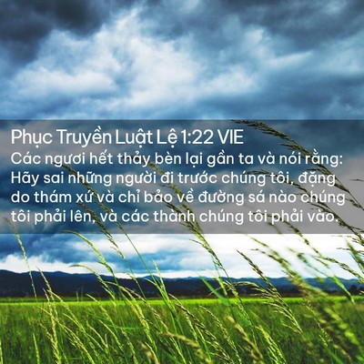 Picture 02 - Phục Truyền Luật Lệ 1:22 VIE - Các ngươi hết thảy bèn lại gần ta và - Bible Verse Picture