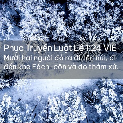 Picture 02 - Phục Truyền Luật Lệ 1:24 VIE - Mười hai người đó ra đi. lên núi, đi - Bible Verse Picture