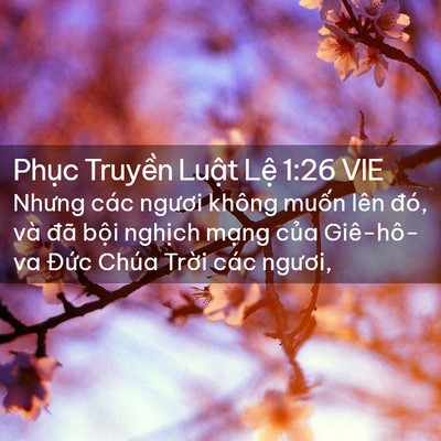 Picture 02 - Phục Truyền Luật Lệ 1:26 VIE - Nhưng các ngươi không muốn lên đó, và - Bible Verse Picture
