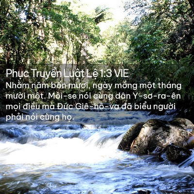 Picture 02 - Phục Truyền Luật Lệ 1:3 VIE - Nhằm năm bốn mươi, ngày mồng một - Bible Verse Picture