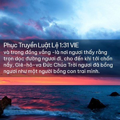 Picture 02 - Phục Truyền Luật Lệ 1:31 VIE - và trong đồng vắng -là nơi ngươi thấy - Bible Verse Picture
