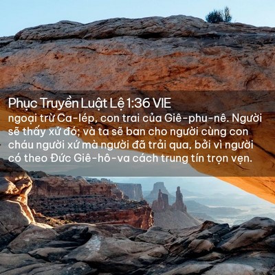 Picture 02 - Phục Truyền Luật Lệ 1:36 VIE - ngoại trừ Ca-lép, con trai của - Bible Verse Picture