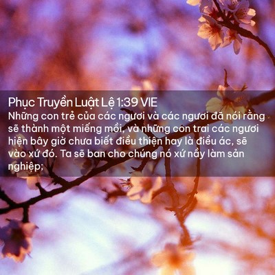 Picture 02 - Phục Truyền Luật Lệ 1:39 VIE - Những con trẻ của các ngươi và các - Bible Verse Picture