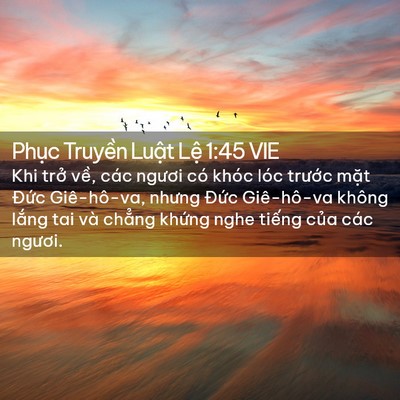 Picture 02 - Phục Truyền Luật Lệ 1:45 VIE - Khi trở về, các ngươi có khóc lóc - Bible Verse Picture