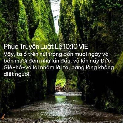Picture 02 - Phục Truyền Luật Lệ 10:10 VIE - Vậy, ta ở trên núi trong bốn mươi ngày - Bible Verse Picture