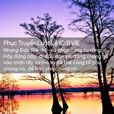 Picture 02 - Phục Truyền Luật Lệ 10:11 VIE - Nhưng Đức Giê-hô-va phán cùng ta rằng: - Bible Verse Picture