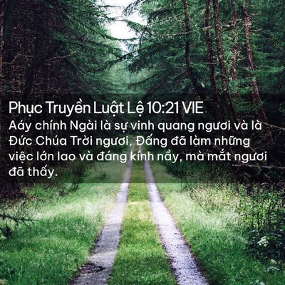Picture 02 - Phục Truyền Luật Lệ 10:21 VIE - Aáy chính Ngài là sự vinh quang ngươi và - Bible Verse Picture