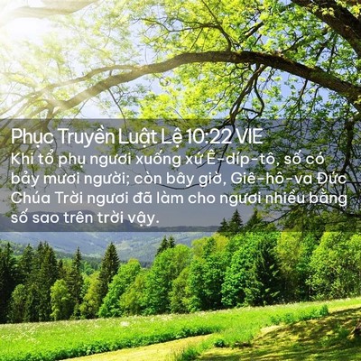 Picture 02 - Phục Truyền Luật Lệ 10:22 VIE - Khi tổ phụ ngươi xuống xứ Ê-díp-tô, - Bible Verse Picture
