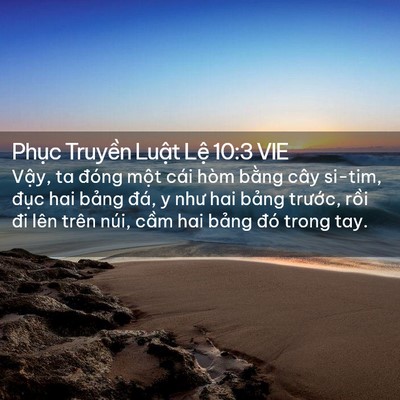 Picture 02 - Phục Truyền Luật Lệ 10:3 VIE - Vậy, ta đóng một cái hòm bằng cây - Bible Verse Picture