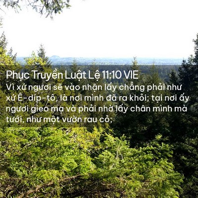 Picture 02 - Phục Truyền Luật Lệ 11:10 VIE - Vì xứ ngươi sẽ vào nhận lấy chẳng - Bible Verse Picture