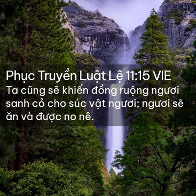 Picture 02 - Phục Truyền Luật Lệ 11:15 VIE - Ta cũng sẽ khiến đồng ruộng ngươi - Bible Verse Picture
