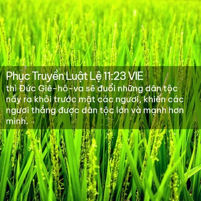 Picture 02 - Phục Truyền Luật Lệ 11:23 VIE - thì Đức Giê-hô-va sẽ đuổi những dân - Bible Verse Picture